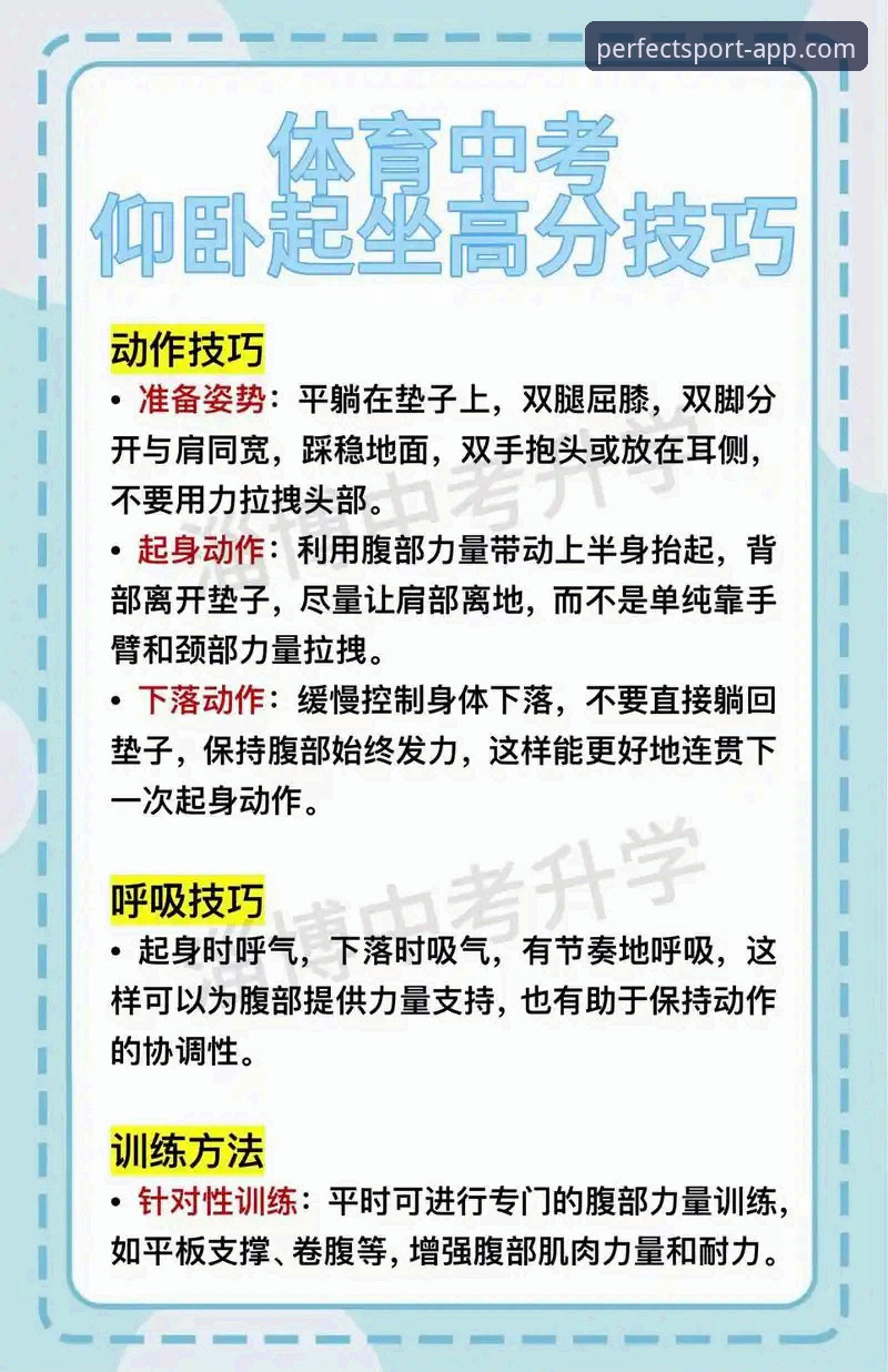 掌握完美体育平台高效使用的五大实用技巧