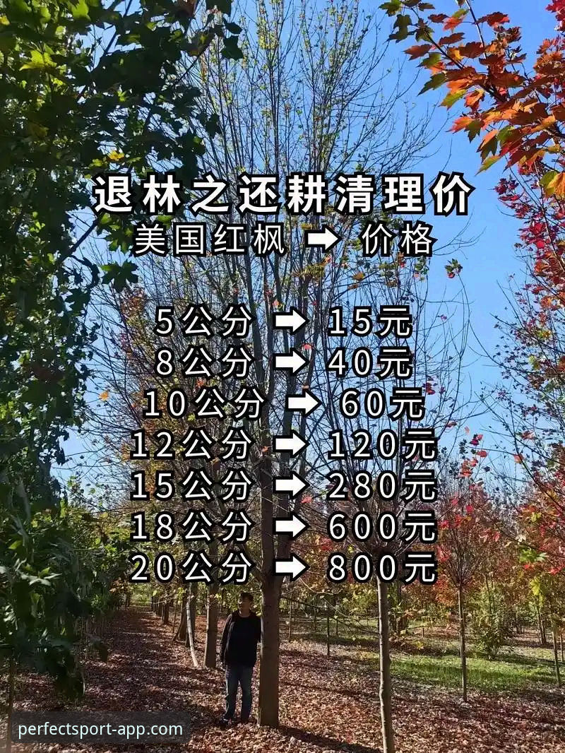 完美体育最新消息 完美体育平台最新版本对比:v1.8.0与旧版功能差距有多大?